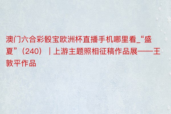 澳门六合彩骰宝欧洲杯直播手机哪里看_“盛夏”（240） | 上游主题照相征稿作品展——王敦平作品