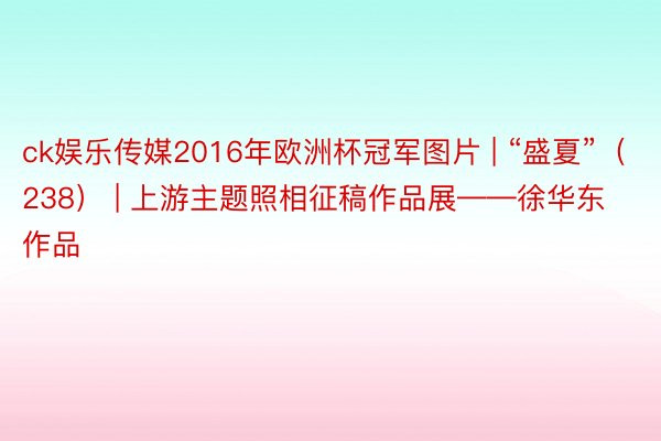 ck娱乐传媒2016年欧洲杯冠军图片 | “盛夏”（238） | 上游主题照相征稿作品展——徐华东作品