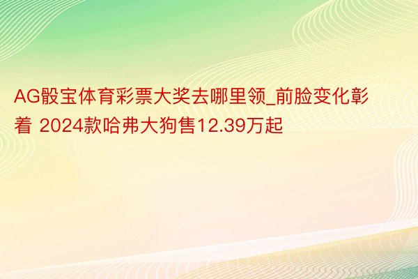 AG骰宝体育彩票大奖去哪里领_前脸变化彰着 2024款哈弗大狗售12.39万起