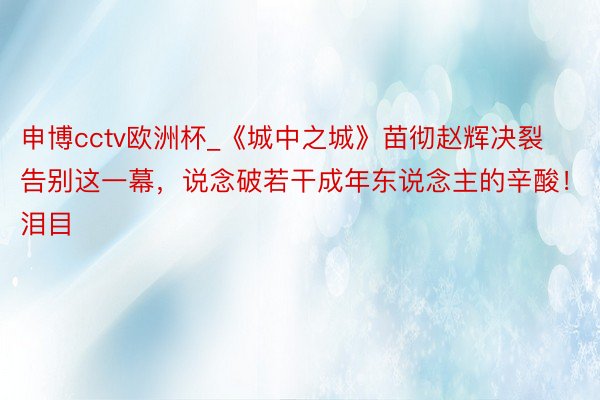 申博cctv欧洲杯_《城中之城》苗彻赵辉决裂告别这一幕，说念破若干成年东说念主的辛酸！泪目